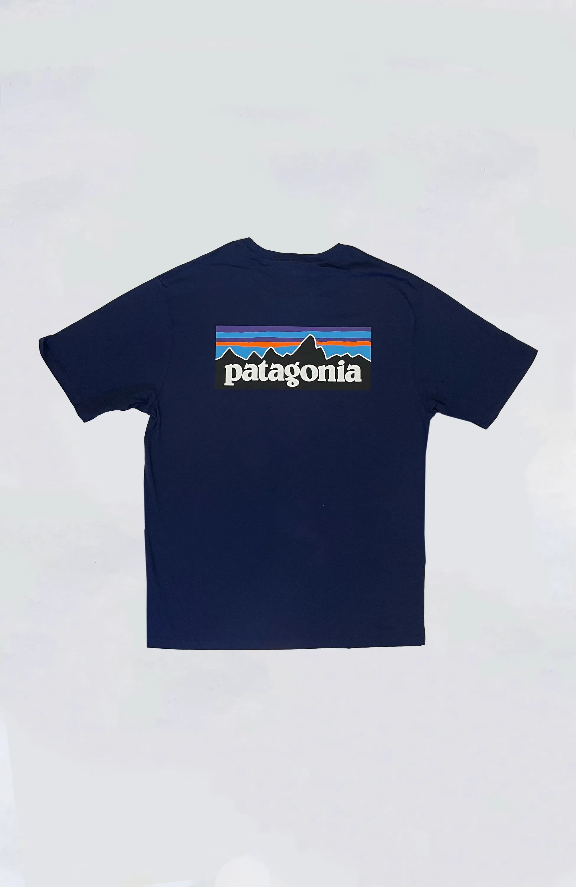 Patagonia - P-6 Logo Tee
