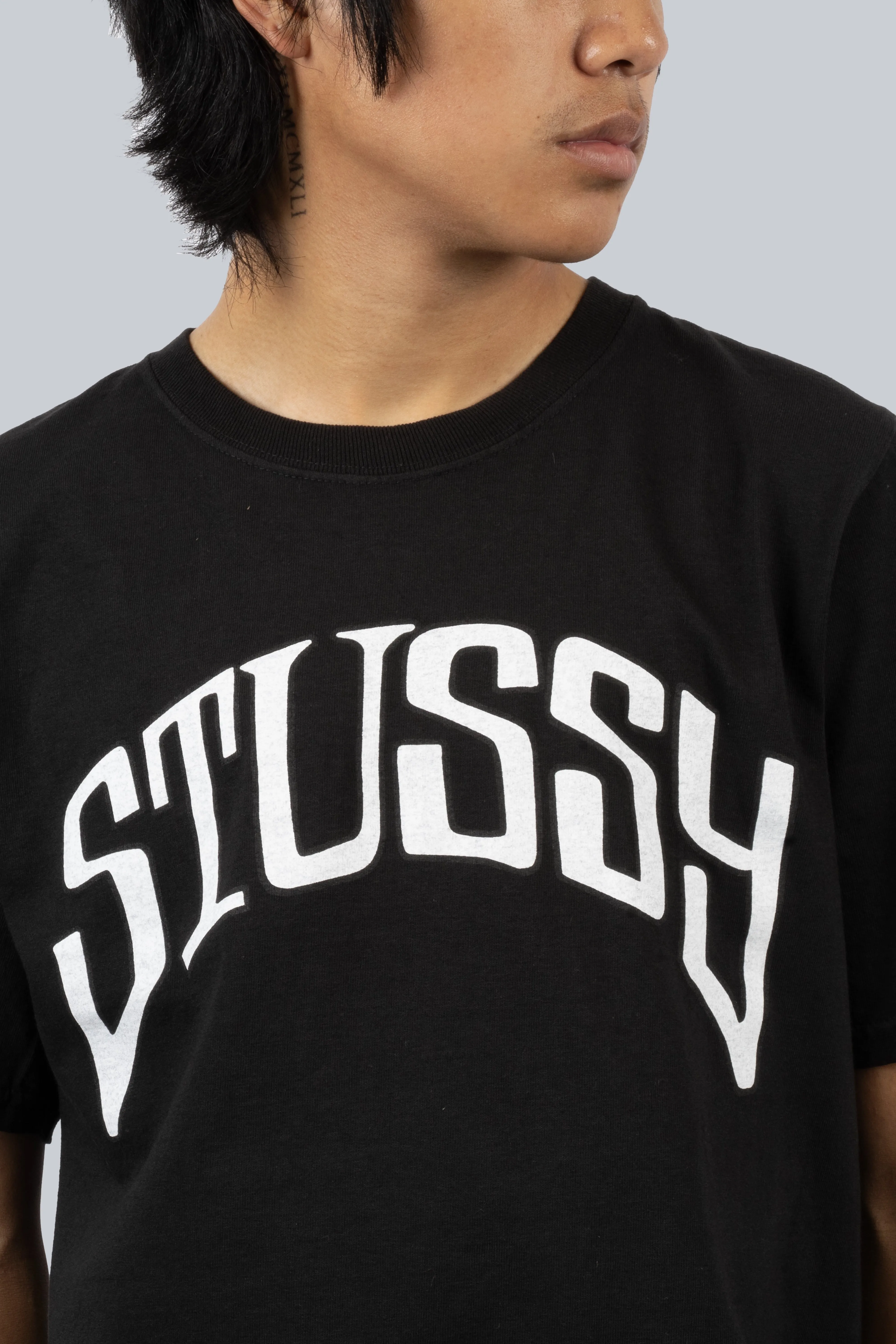 STUSSY ARCHED PIG DYED TEE BLACK