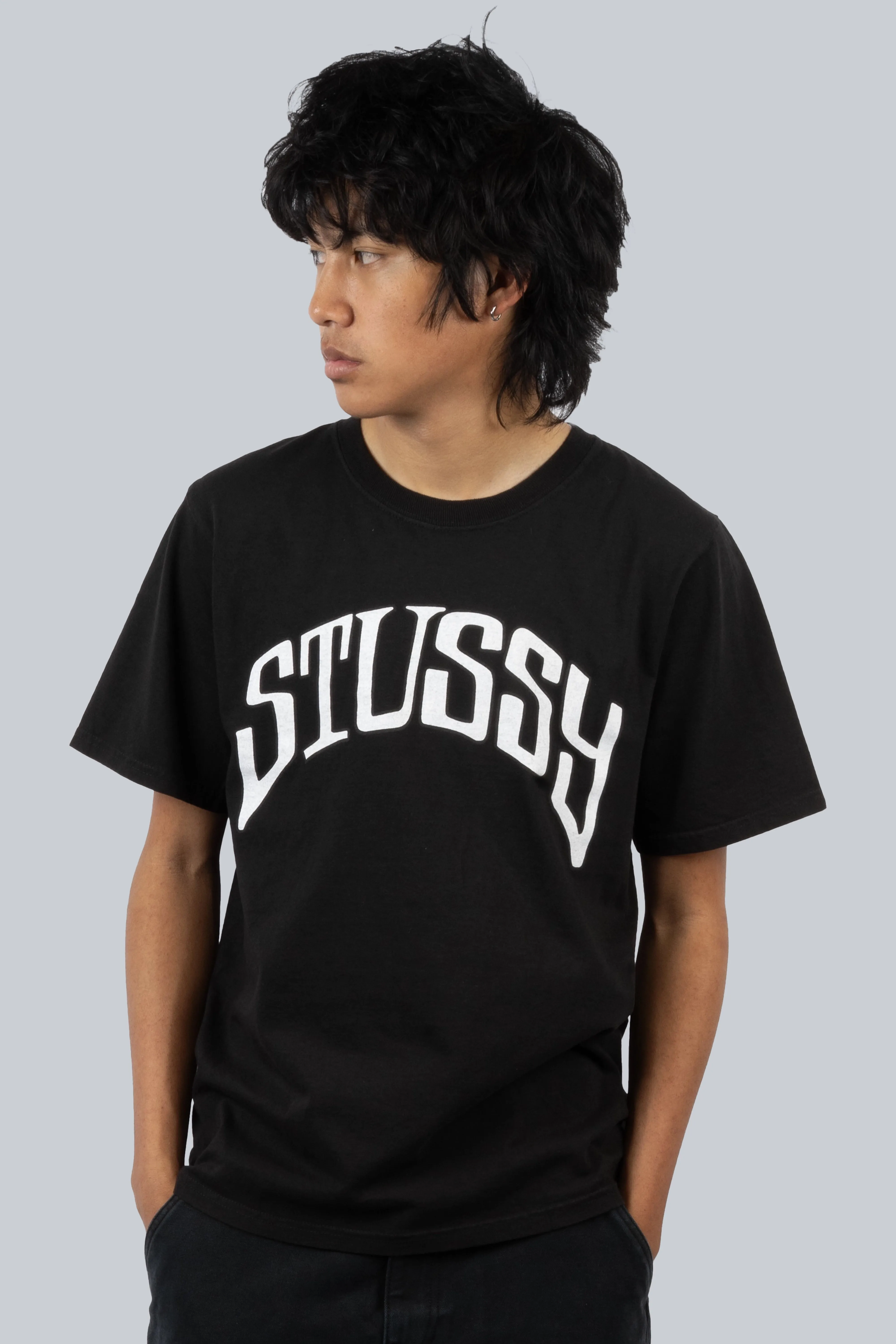 STUSSY ARCHED PIG DYED TEE BLACK