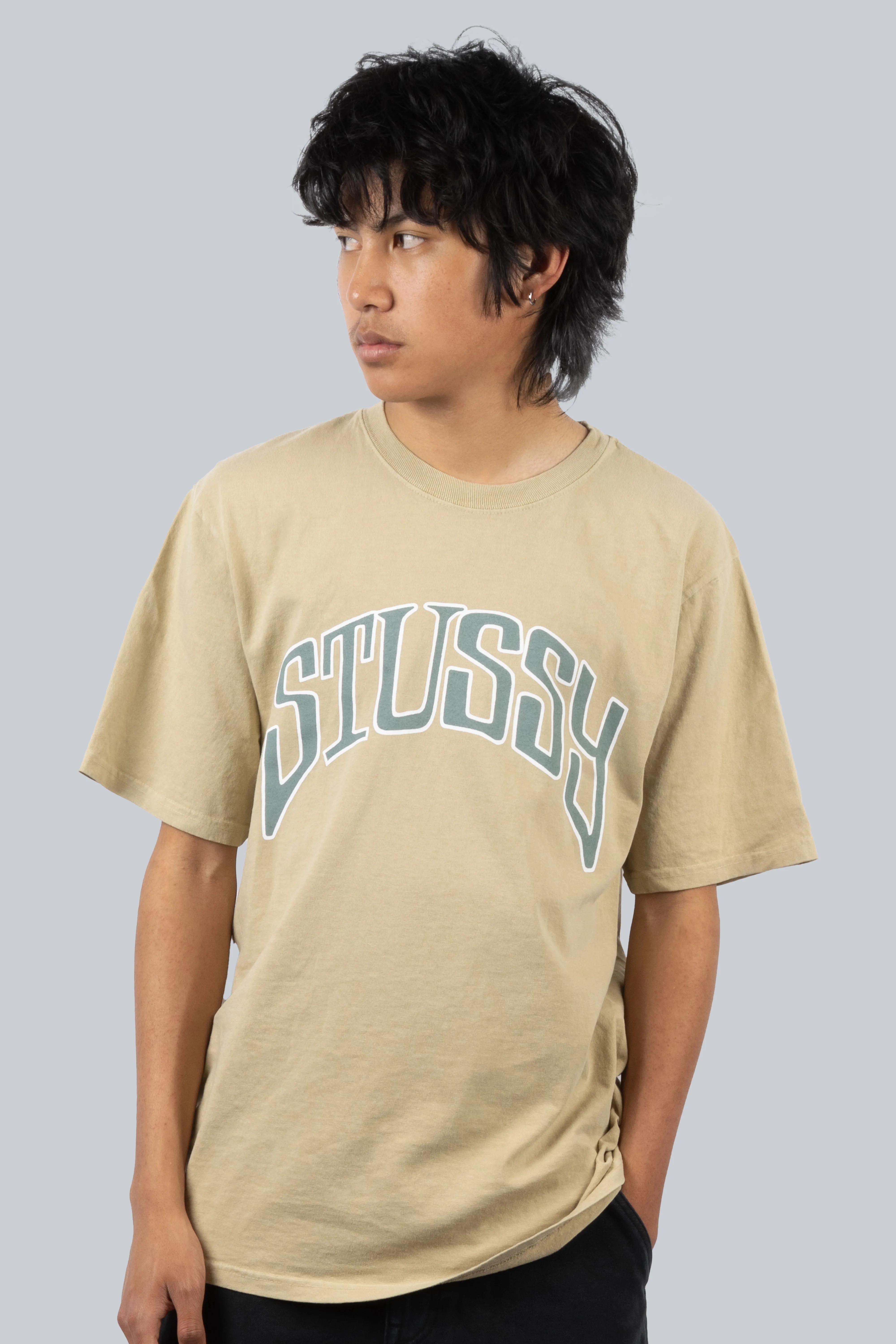 STUSSY ARCHED PIG DYED TEE ELM