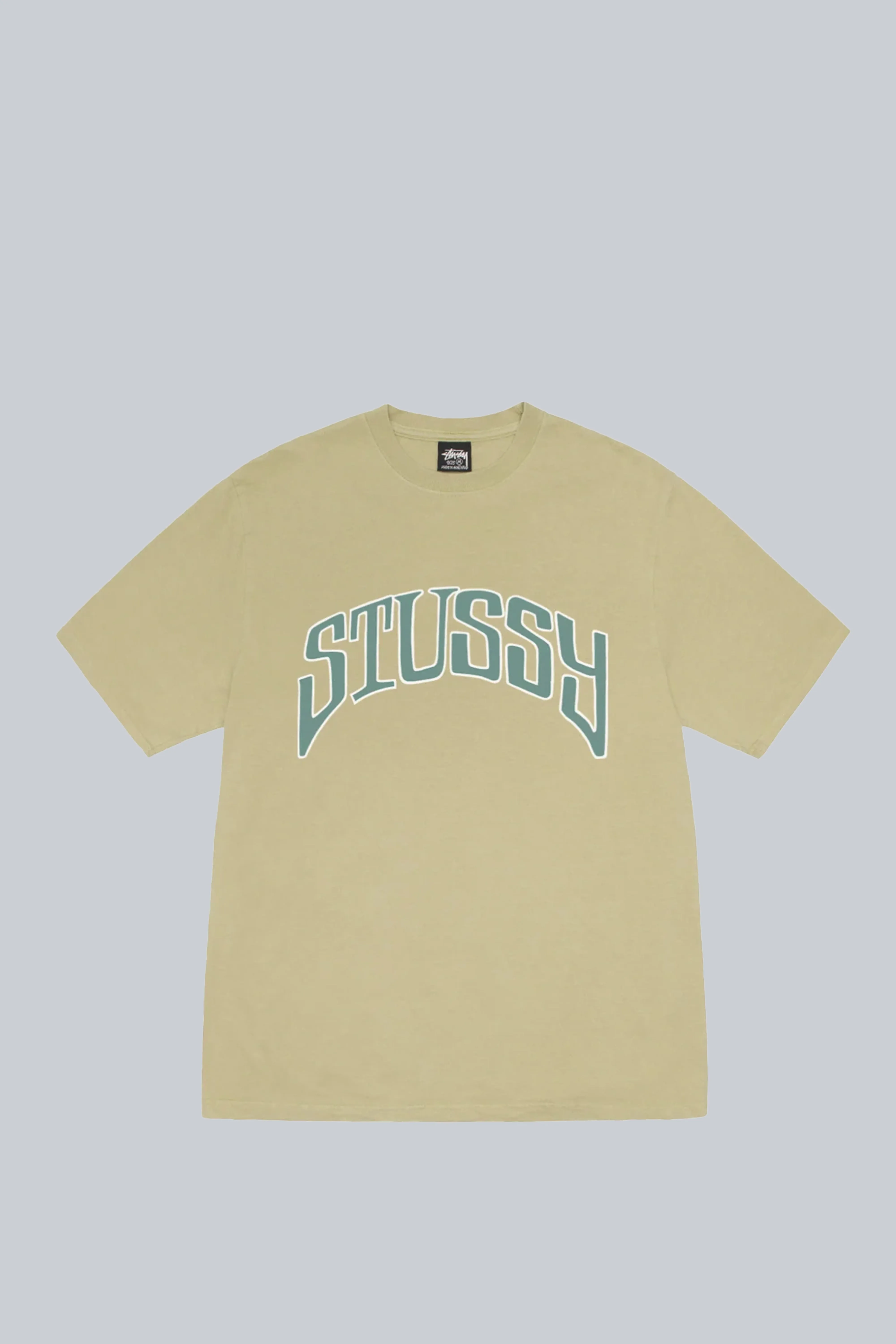 STUSSY ARCHED PIG DYED TEE ELM
