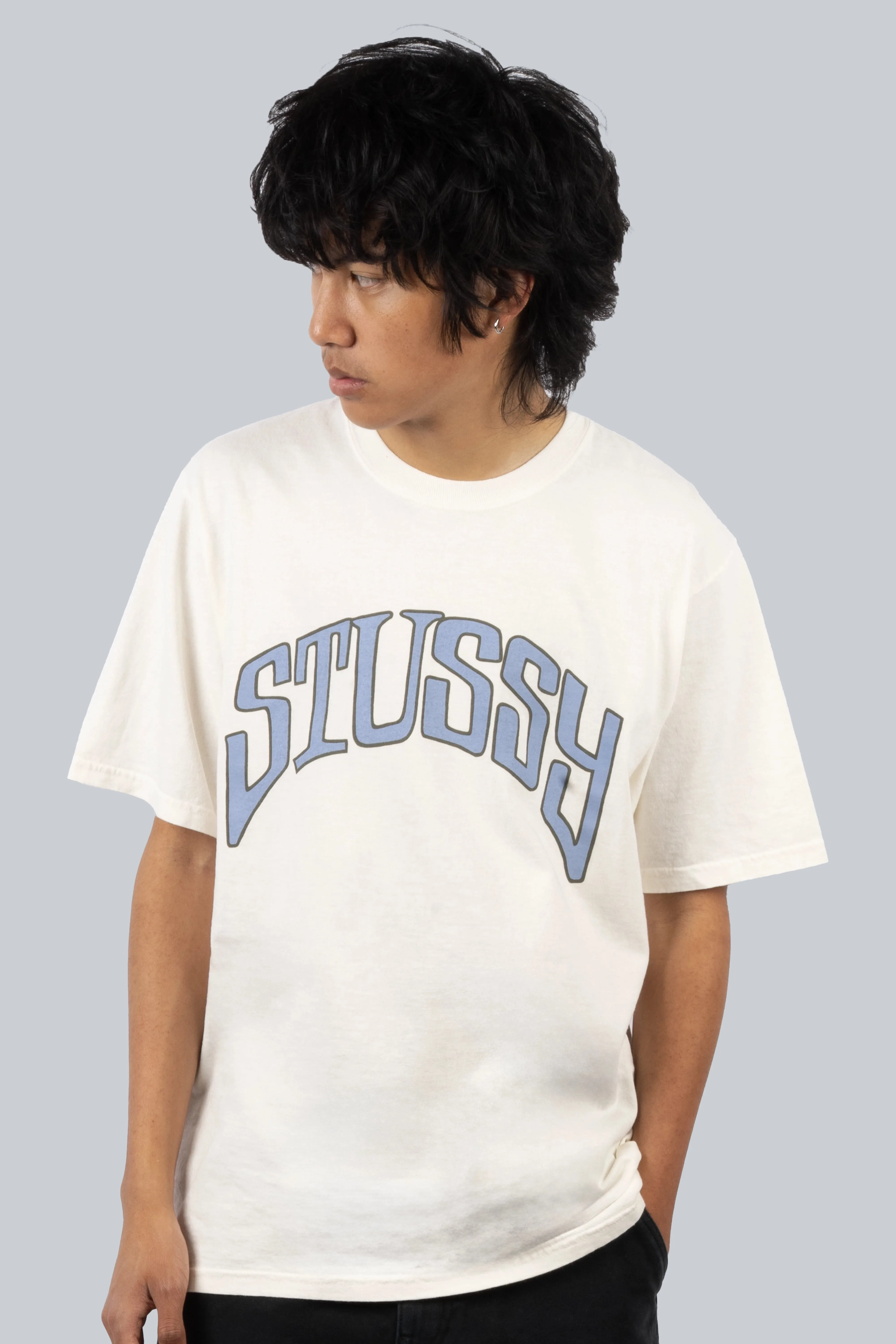 STUSSY ARCHED PIG DYED TEE NATURAL
