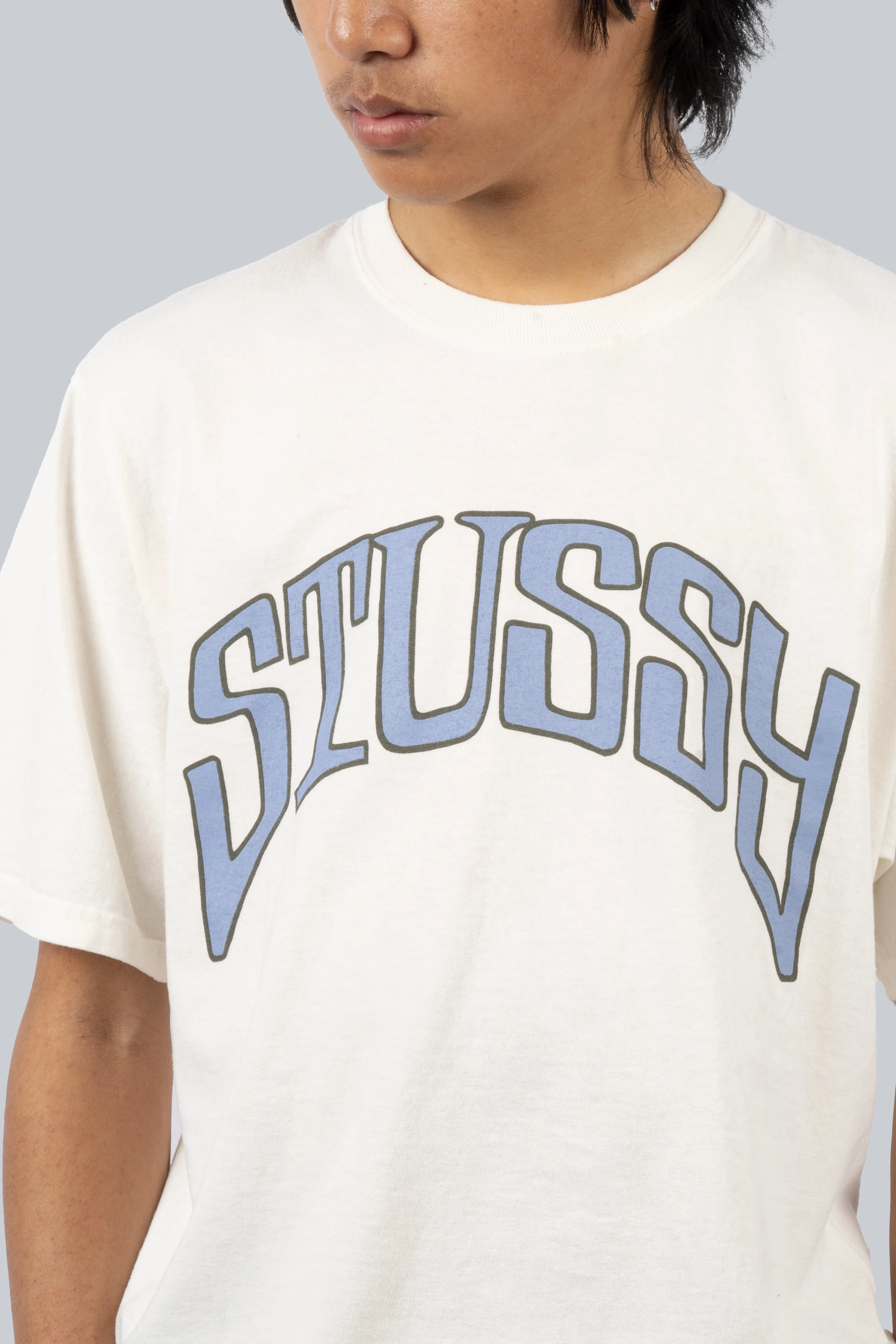 STUSSY ARCHED PIG DYED TEE NATURAL
