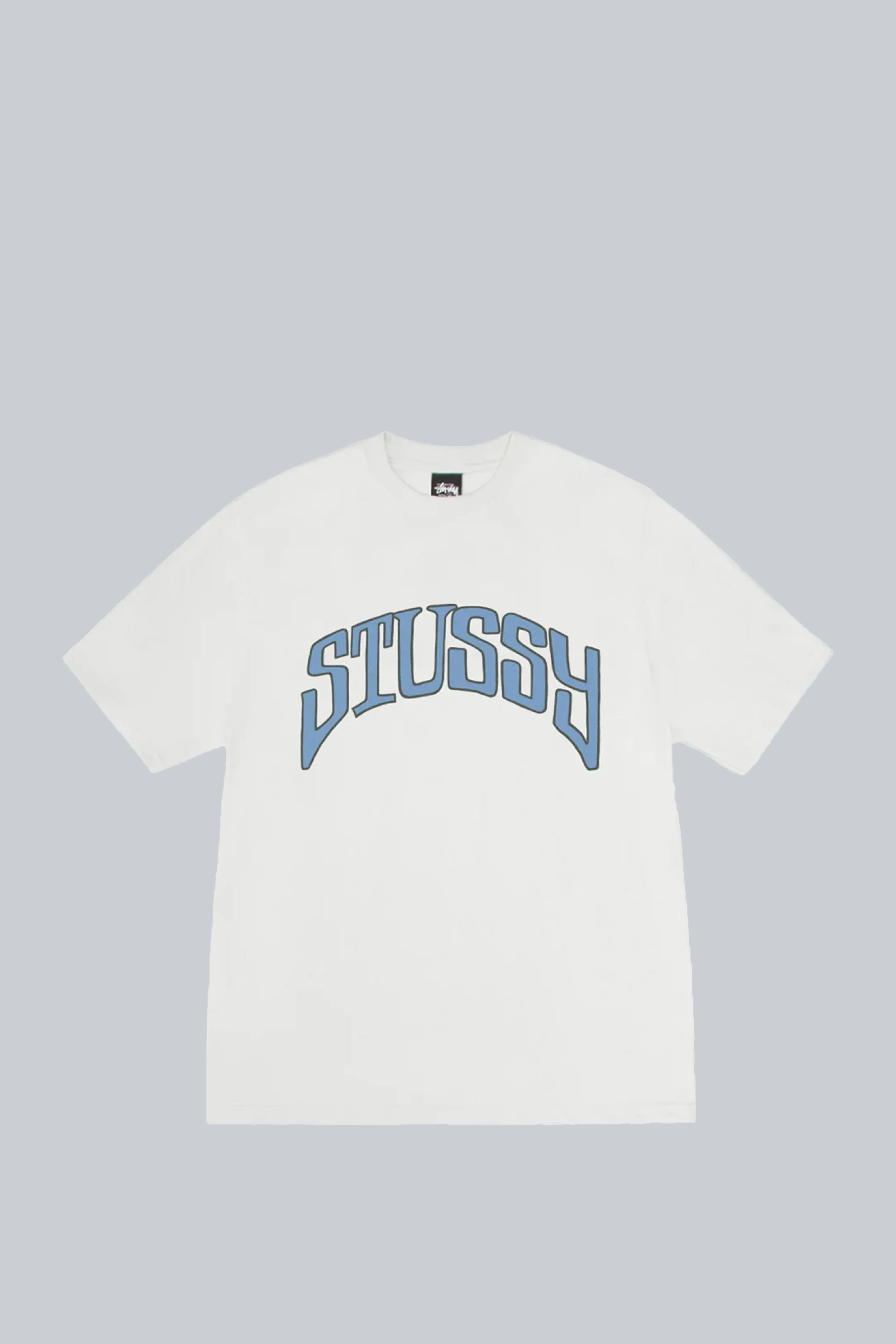 STUSSY ARCHED PIG DYED TEE NATURAL
