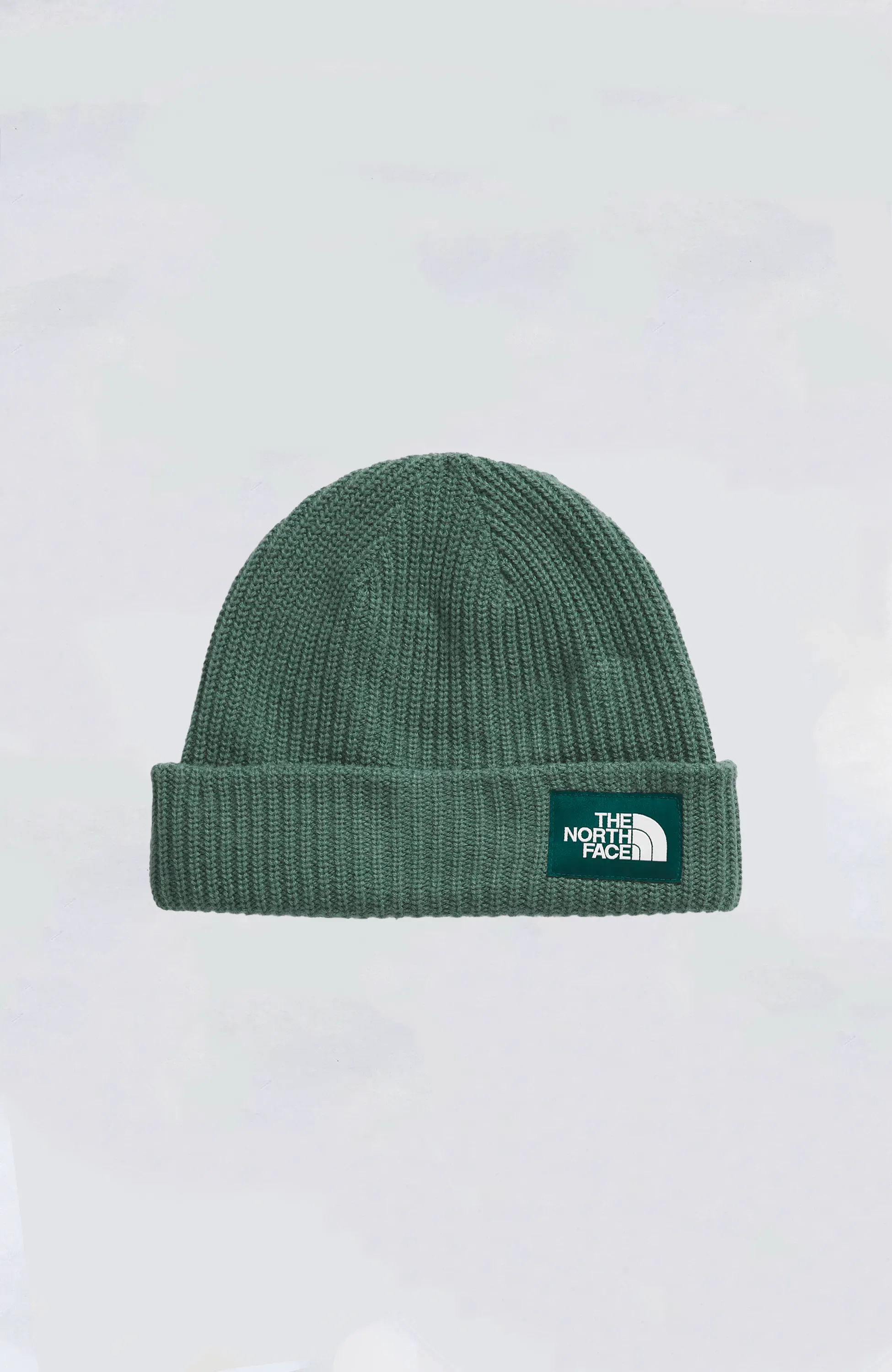 The North Face - Salt Lined Beanie